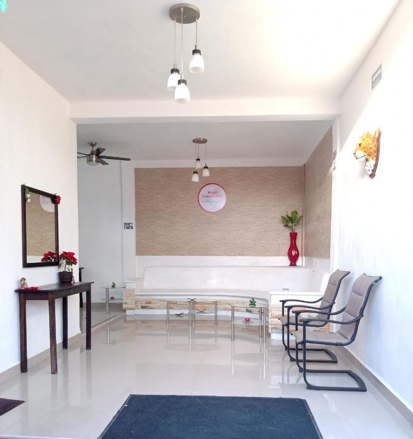 Hotel Casa Ariana 巴卡拉尔 外观 照片